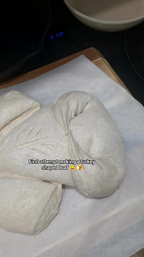 Turkey-ish? 😅 | Raven Friday