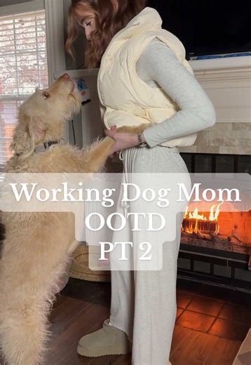 This yellow labradoodle will always been the best working dog 🤍 #dogmomootd #cozyoutfitideas #loungesetsforwomen #comfysets #dogmomsoftiktok