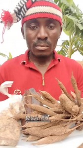 Make use of Palm rasta,Prekese, Epo-obo (Anti wịt-çhçråft woød) & incent #Maziuc Mazi-UC | Mazi-UC