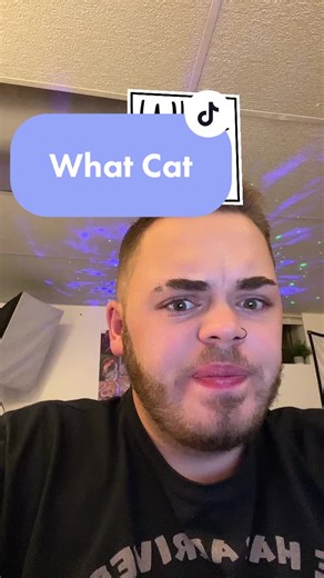 Meet Cooter: The Cat of TikTok Fame