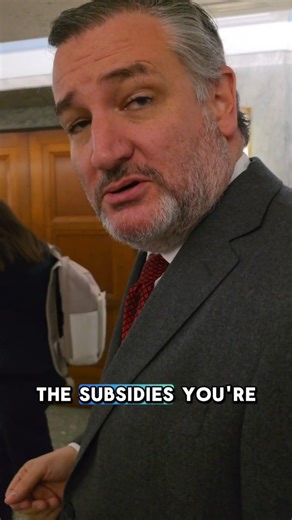 Elizabeth Booker Houston on Instagram: "Without a vote on the ACA tax credits, they will expire on December 31st st midnight, and healthcare premiums will become unaffordable for millions of Americans. But these people do not care."