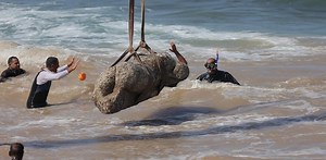 New finds shed light on Canopus – the ancient Egyptian port city lost to the sea