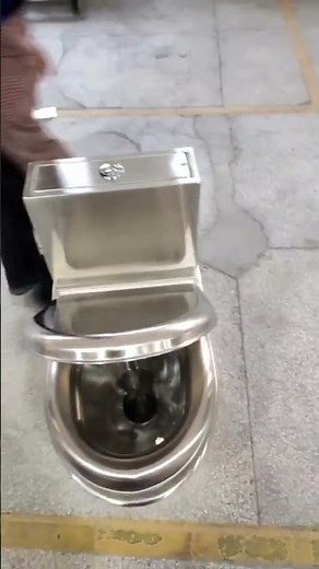 Stainless steel toilet with dual flush cistern and stainless steel seat and lid #stainlesssteel