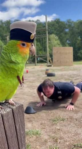 Parrot says Officer push-up punishment 🤣🦜 | Officer Parrot