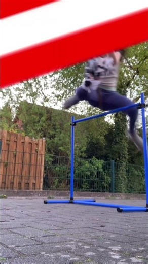 Springen mit Apollo😍