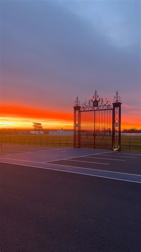 Polo Club Hotel on Instagram: "Mornings like this are why we love this place. Sunrise over the estate, just as it should be 🌅✨"