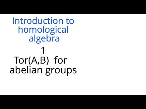 Homological algebra 1: Tor for abelian groups