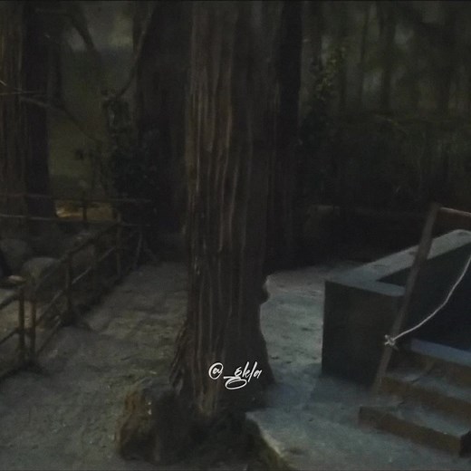 O Sahiba💚🎶#bollywoodsong #latamangeshkar #sonunigam #fypシ #foryou #bollywood #letrasdecanciones #fyp #paratii #preityzinta #arjunrampal #mahimachaudhary #jimmyshergill #dilhaitumhara