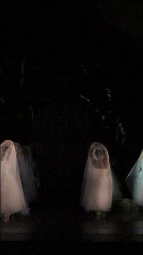 Houston Ballet | Giselle