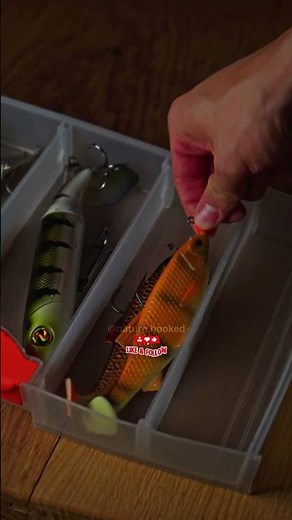 Pike Tacklebox 🎣 Part 2 – Must-Have Lures & Gear #naturehooked