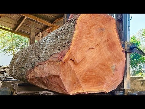 "Don't Make the Wrong Choice! These Are the Characteristics of Grade A Mahogany Wood in the Sawmill"