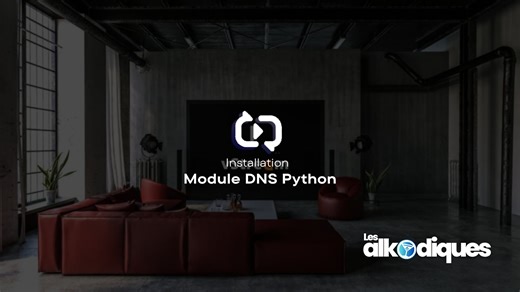 Module DNS Python