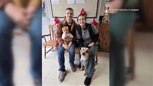 Dog found injured on Altoona train tracks finds forever home & new name