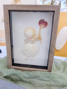 Framed Seashell Art – Handmade Coastal Wall Décor With Real Florida Shells | Beach Cottage Wall Art - Etsy