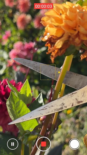 Did someone say scissors glow-up? ✂️✨ Not everyone knows that scissors can be sharpened and the Tormek sharpening system makes it quick, easy and effective. 🇦🇺 | Tormek