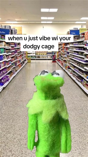 Experiencing the Dodgy Cage Again