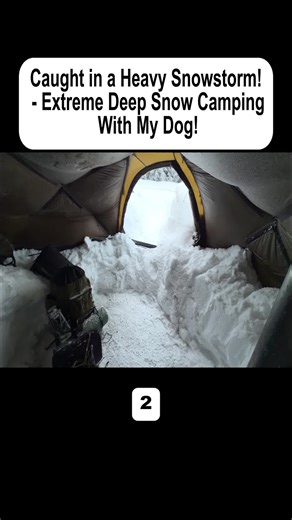 Winter Bushcraft Survival Techniques for Snowstorms