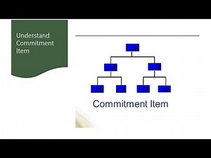 Understand Commitment Item