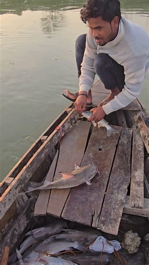 Real fishing with River Hooks Best Long Line fishing patter chata #fishhunting2 #fishing