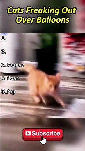 Cats Freaking Out Over Balloons #short