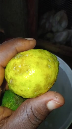 217K views · 4.3K reactions | I love organic farming | Faustina the farmer | Facebook