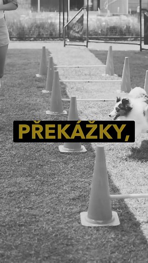 22K views · 74 reactions | #discipline #cviceni #foryouシ #fitko #cvicime #fitnesslifestyle | Posilování břicha | Facebook