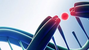 miRNA as a Novel Toxicity Biomarker