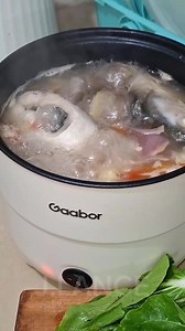 Hot Gaboor 1.8L Mini Rice Cooker: Your Space-Saving Kitchen Essential