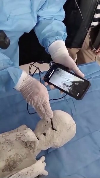 Video gives look inside the mummy