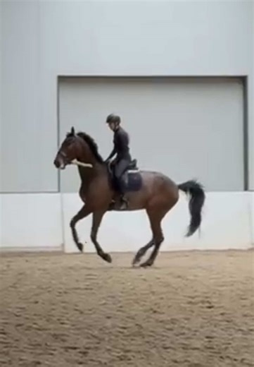 Het is niet alleen maar het perfecte plaatje. Om bij ‘het perfecte plaatje’ te komen moet je eerst heel veel minder perfecte plaatjes maken🤭. Nu zijn dit nog niet de ergste voorbeelden, maar de rest staat niet op film dusja🥲 || Q: wat is jullie grootste paardrij blunder?🙈 || #paardenmeisje #paardentiktok #horseriding #dressage #dressuur