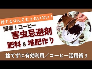 Don't Throw It Away! Coffee Use Tips 3: Insect Repellent / Coffee Grounds Fertilizer / Composting...