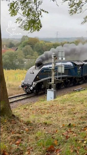 A4 Pacific “Sir Nigel Gresley” on the Bluebell Railway #steamlocomotive