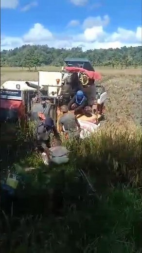 Philippines Rice Farming