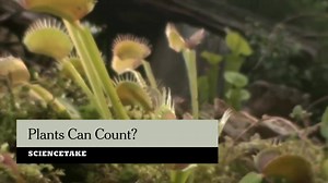 173K views · 500 shares | This is the first time someone has...