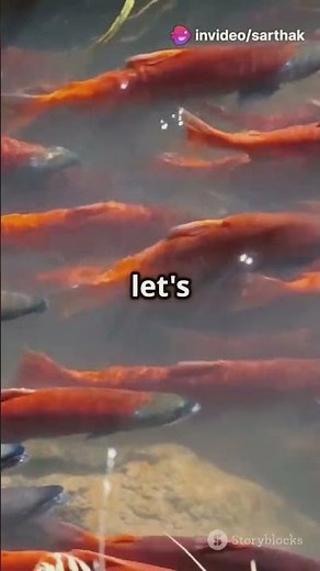 Mind-Blowing Facts About Fish Birth! #UnderwaterLife #FishReproduction #NatureLovers #Wildlife