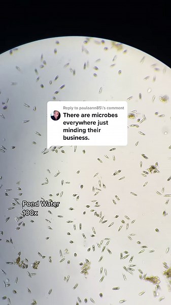 Mind-Blowing Audio-Video Synchronization — Don’t Miss the Ending!