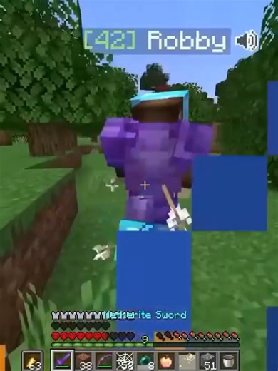 Minecraft Strategies: SpeedSilver vs. Robby's Team