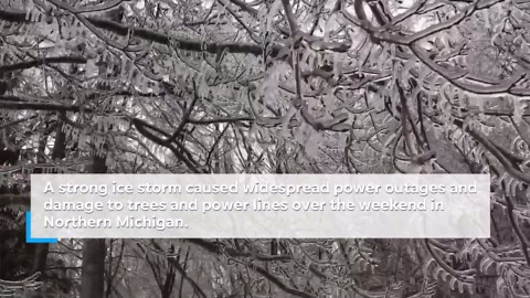 VIDEO: Ice storm hits Northern Michigan