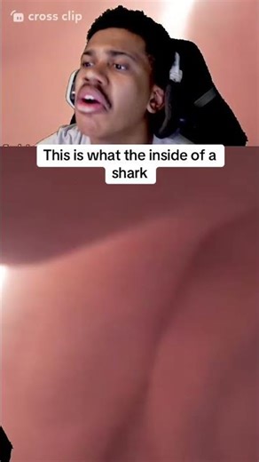 Sharks digest very fast man #shorts #viral #reaction