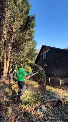 11 reactions |  Tree Service project in  Atlanta, GA . Call us for a free estimate ☎️(678) 457-3487 ☎️(678) 677-9102 . . . #trees #treeremoval #treework #arborist #tree #stihl #stumpgrinding #treecare #landscaping #treetrimming | Jireh Tree Services & Landscaping | Facebook