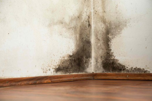 Understanding Mold-Resistant Drywall