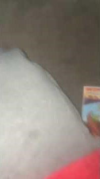 Opening to The Land Before Time 9: Journey to Big Water 2002 DVD