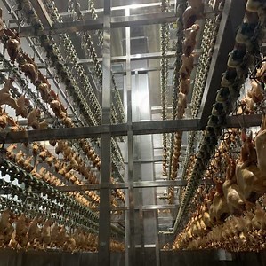 [Hot Item] Halal Islamic Chicken Machine Slaughter House Equipment Line Abattoir Equipment