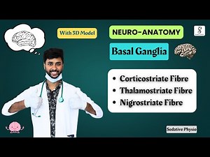 Basal Ganglia Afferent Connections | Nigrostriatal & Corticostriatal Pathway | Sedative Physio