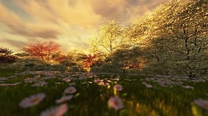 Spring Scenery Sunrise Camera Fly Stock Footage Video (100% Royalty-free) 9935285 | Shutterstock