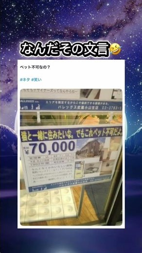 変な文言だなー😳 #shorts #おもしろ #チラシ #看板 #賃貸