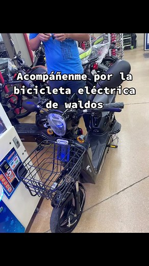 Bicicleta eléctrica de Waldos: características y consejos