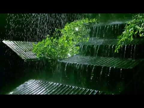 Cure Insomnia with Heavy Rain & Thunder - Nature Sounds for Deep Sleep and Relaxation