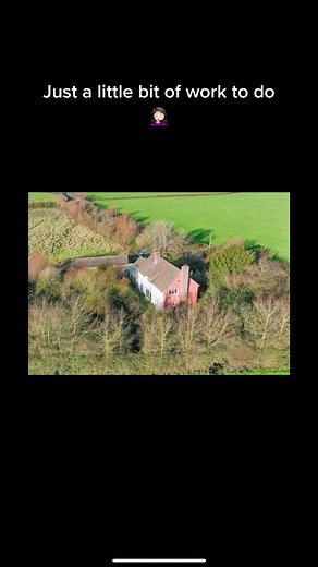 #restoration #diy #oldhouse #oldhouserenovation #1950s #lotsofwork #funtimes #renovatingourhome #renovationproject #orchard #apples