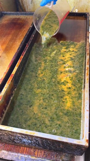 あおさをたっぷり使った贅沢玉子焼き！ 店名：はんなりいなり 最寄り駅：鎌倉駅（神奈川） 巨大な鉄板で焼き上げるふわふわ食感の出汁巻き玉子にあおさを惜しみなく練り込んだ名物玉子焼き。 ひと口頬張ると玉子のやさしい甘みとともに磯の香りがふわっと広がり思わず食欲を掻き立てられる一品です！ 焼きたてならではのふんわり感とあおさの風味のバランスが絶妙で最後まで飽きずに楽しめます。 他にも海老やうなぎを使った玉子焼きなどバリエーションも豊富。 どれも串スタイルで食べ歩きしやすく鎌倉散策のお供にぴったりです。 あおさの玉子焼き串は300円でした！ 住所：神奈川県鎌倉市小町2-8-6 最寄り駅：鎌倉駅から徒歩5分 営業時間：10:00～19:00 定休日：不定休 #鎌倉グルメ #kamakura #japanesefood Fluffy Seaweed Omelet You Can Eat While Walking in Kamakura A fluffy dashi-style omelet cooked fresh on a huge iron griddle and generously mi